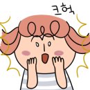 영동커텐 네이버블로그