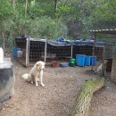 울산농장 이미지