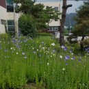 진인노인요양원 이미지