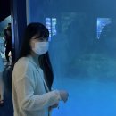 한우리당구장 | 🌊 원주~강릉 여름휴가 성공! (해피주/꾼노리/경포해변/경포아쿠아리움/영덕대게횟집/아르떼뮤지엄/버거...