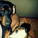 대전대흥초등학교 이미지