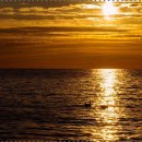 연세숙면치과의원 이미지