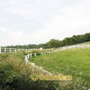 인종목장 이미지