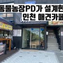 도그동물농장 | 인천터미널 근처 대형 애견카페 , 도그와트 운동장