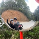 스피드존 이미지