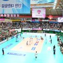 체육관 이미지