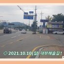 대부해솔길 1-1코스(순환코스) Daum카페