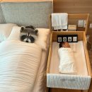 와튼젤리 산후조리원(용산마포점) | 레피리움 시그니처 서대문 | 마포 용산 가성비 산후조리원 스위트룸/신생아실/마사지/식사/뉴본촬영/가격