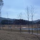 경포대오토캠핑장 이미지