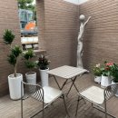 다방물볕 이미지