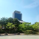 롯데오토케어㈜ | 강릉 당일치기 4월의 안목해변 다녀옴 (고속버스+쏘카 후기)
