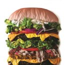 한국동시대미술 이미지