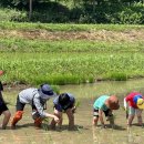 홍동초등학교 이미지