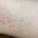 조은샘의원 이미지