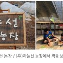 하늘선