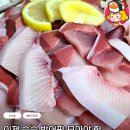 흥인농장 이미지