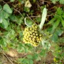 서곡초등학교 이미지