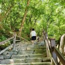푸른매점 | [경주] 초4 초등학생 어린이 가족 석굴암 매점 아이스크림 후기