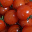 신라불교초전지 이미지