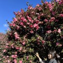 성산읍 성산리 재활용 도움센터 | 도민인듯도민아닌도민같은너