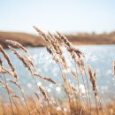 (주) 세온행정사 사무소 이미지