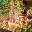 이케이앤 이미지