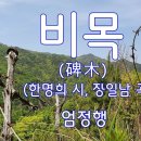 비 목(碑木) ( 이끼 되어 맺 - 혔 - 네) 이미지