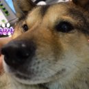 오구오구내새끼