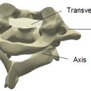 바름운동센터 이미지