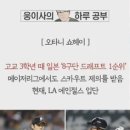 웅이사다리 이미지