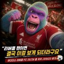 6423 | 아디다스 리버풀 FC 25/26 홈 저지 JV6423, 사이즈와 핏 솔직 후기 [클레버콩의 찐리뷰]