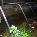 황금목장 이미지