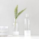 트로피칼 이미지