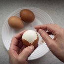 집밥 먹을 때 달걀 꼭 추가했더니… 몸의 변화가? 이미지