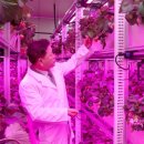 딸기아트어린이집 이미지