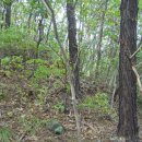 토성주유소 이미지