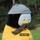 명보약국 | 12월 일기를 낋여 왔어요