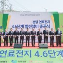 한국분동