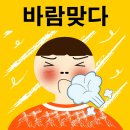 가을은 바람의 계절 ~~ 이미지