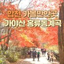 2024년 재151차 정기산행 합천 소리길 송년산행 안내 이미지