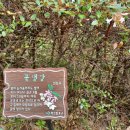 임항선그린웨이 이미지