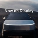 Y.C 엔터테인먼트 | 테슬라 대구 스토어 사이버트럭 구경기