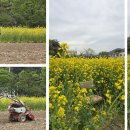 주촌 - 서산시 | 주촌