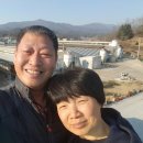 덕풍3농장 이미지