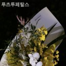 루츠투페탈스
