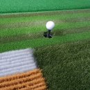 이글스크린골프존 이미지