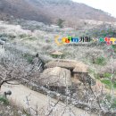 섬진농원 이미지