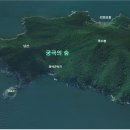 가덕도 동백군락지 이미지