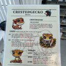 크레수호