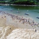 하동재첩 섬진강 이미지